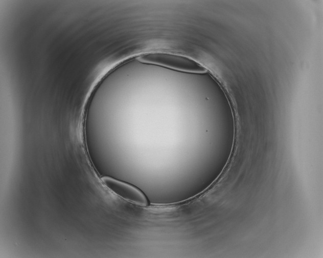 X0000111511296200907211155