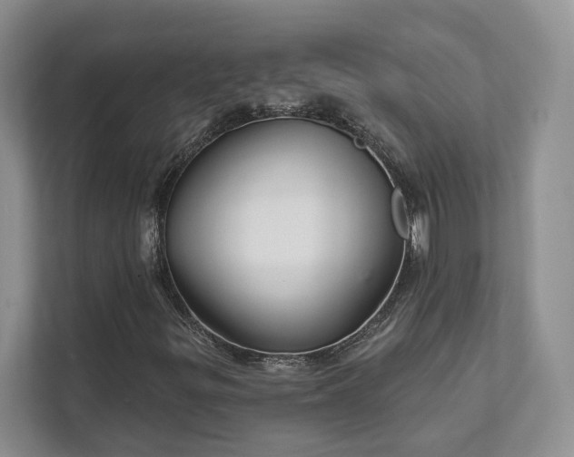 X0000111511299200907211155