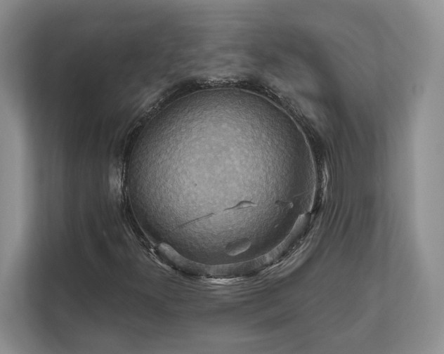 X0000111511300200907211155