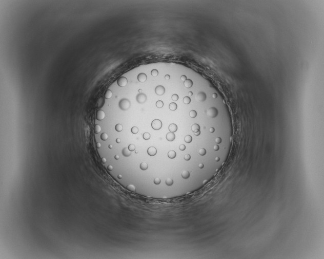 X0000111511302200907211155