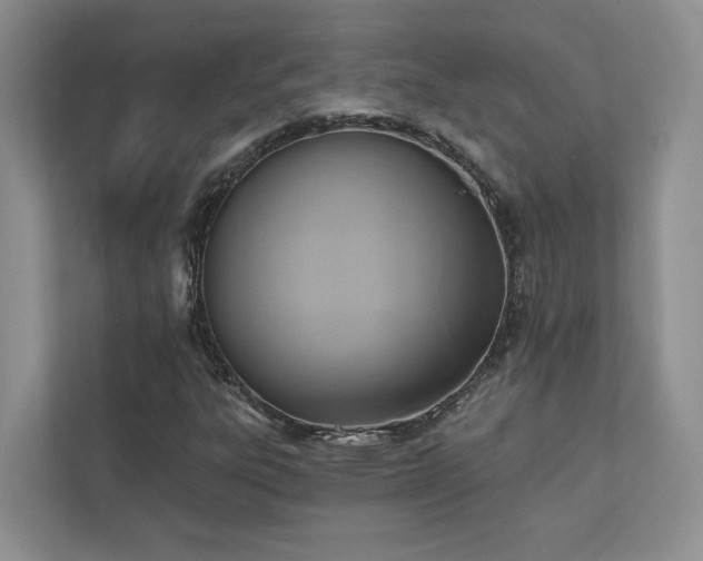 X0000111511303200907211155