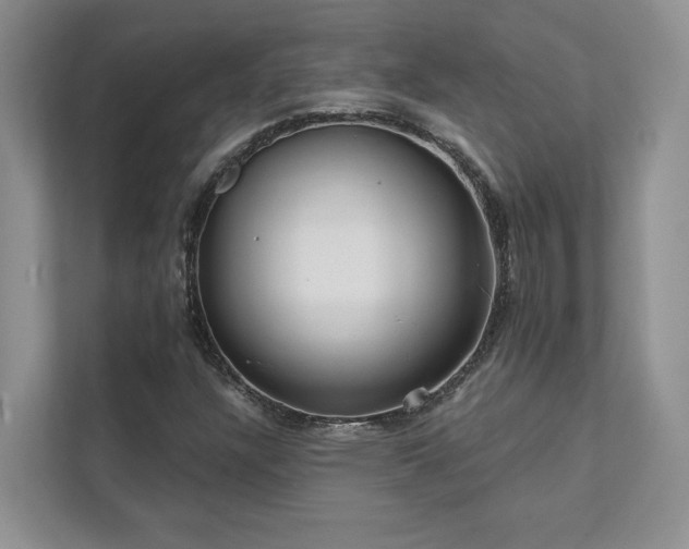 X0000111511304200907211155