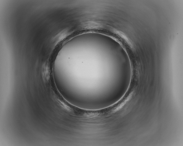 X0000111511306200907211155