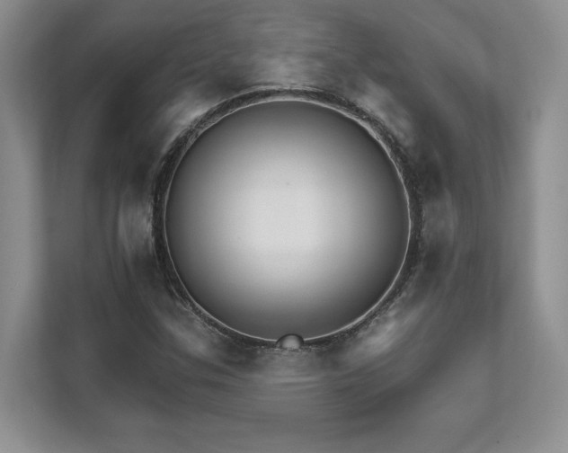 X0000111511307200907211155