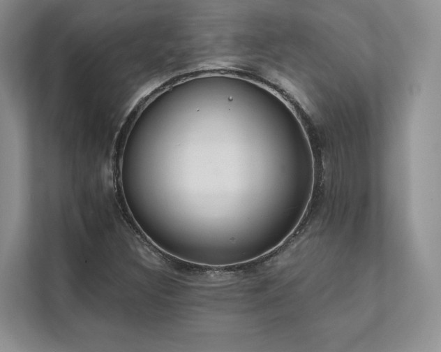 X0000111511308200907211155