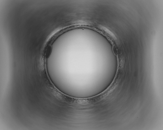 X0000111511310200907211155