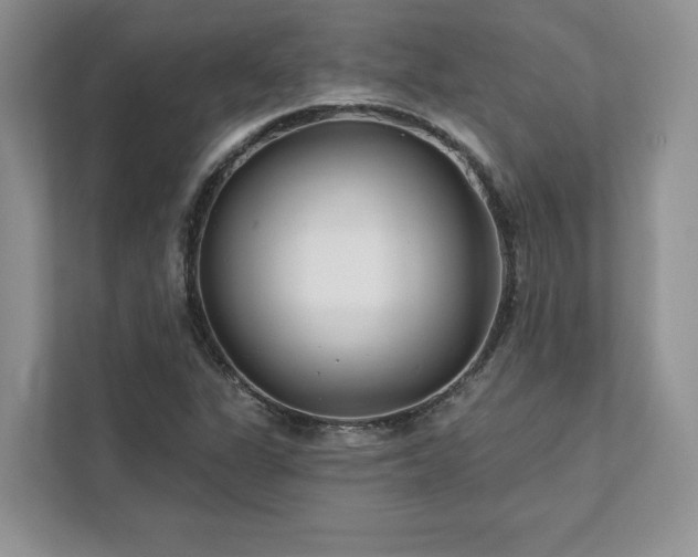 X0000111511311200907211155