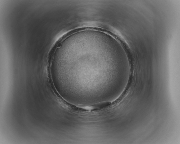 X0000111511312200907211155
