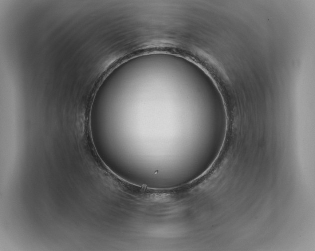 X0000111511313200907211155