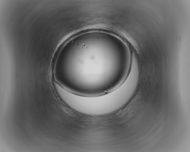 X0000111511316200907211155