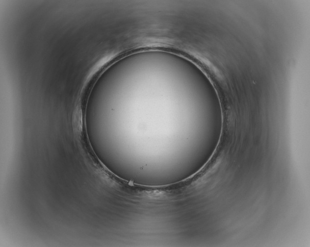 X0000111511317200907211155