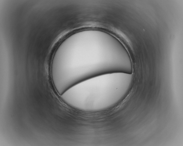 X0000111511318200907211155