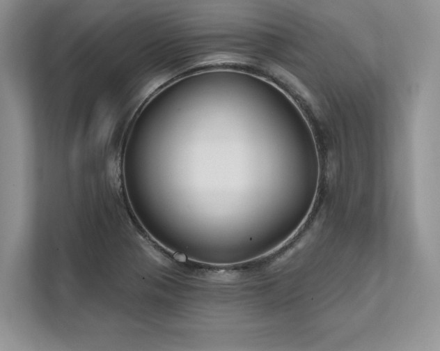 X0000111511321200907211155