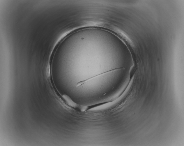 X0000111511324200907211155