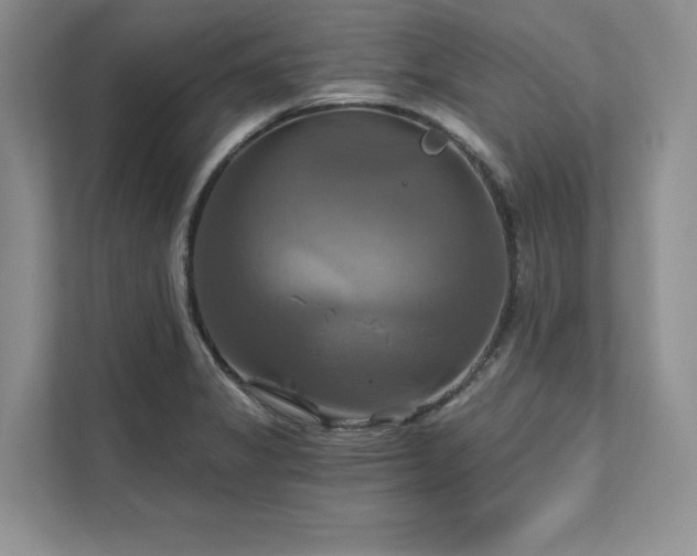 X0000111511325200907211155