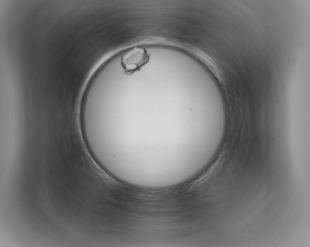 X0000111511326200907211155