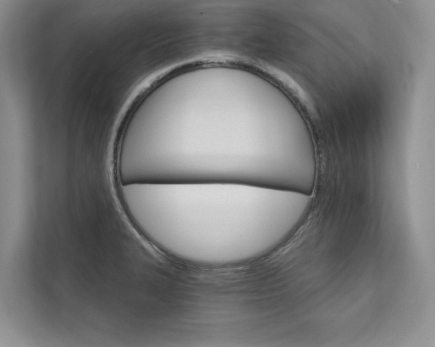 X0000111511327200907211155
