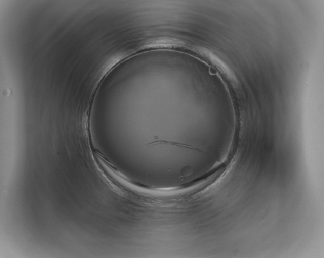 X0000111511329200907211155