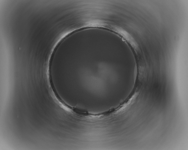 X0000111511331200907211155