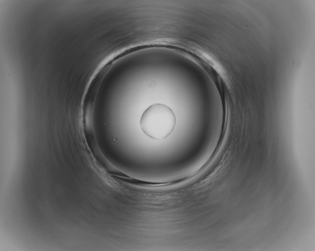 X0000111511332200907211155