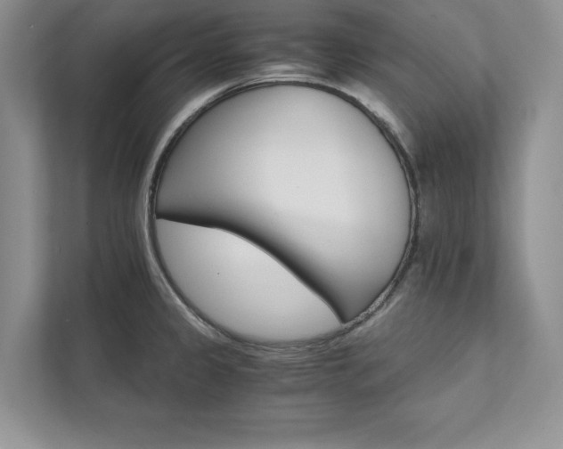 X0000111511333200907211155