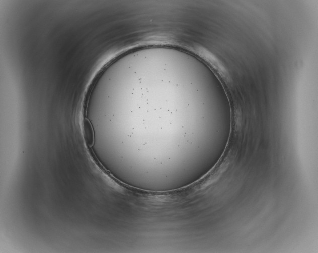 X0000111511334200907211155