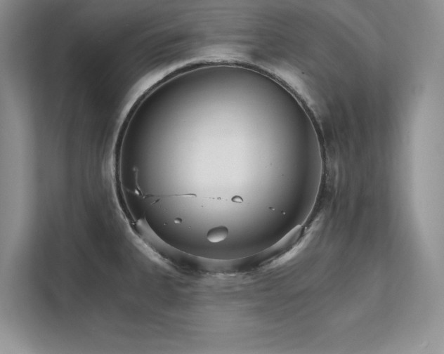 X0000111511335200907211155