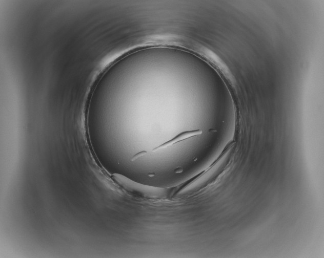 X0000111511336200907211155