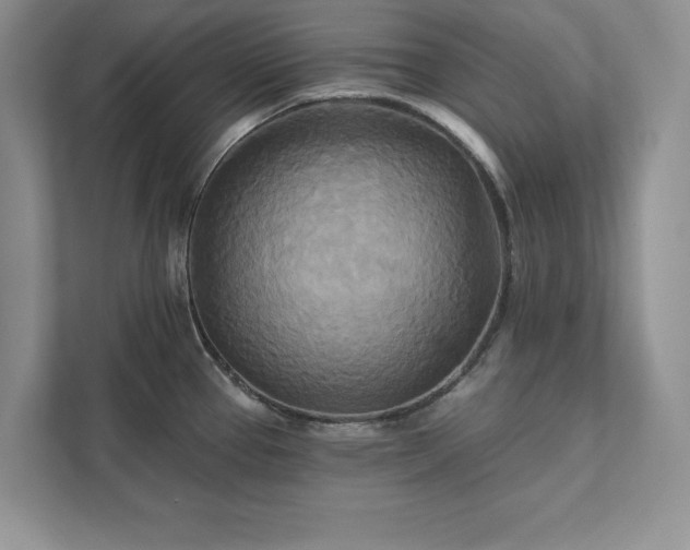 X0000111511337200907211155