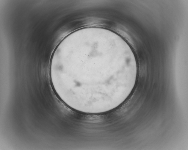 X0000111511338200907211155