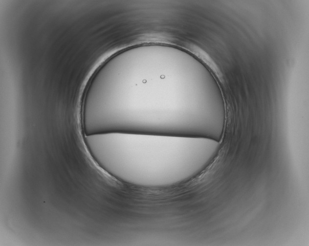 X0000111511339200907211155