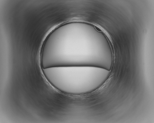 X0000111511341200907211155