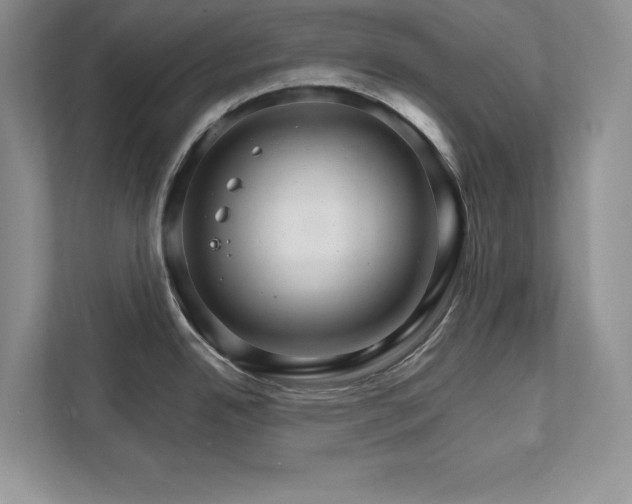 X0000111511342200907211155