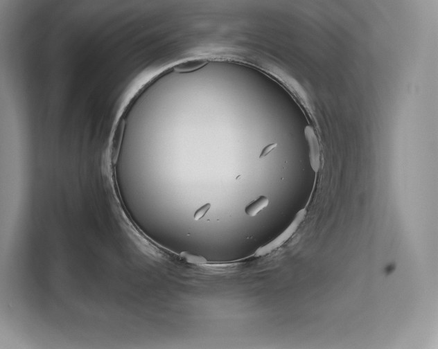 X0000111511344200907211155