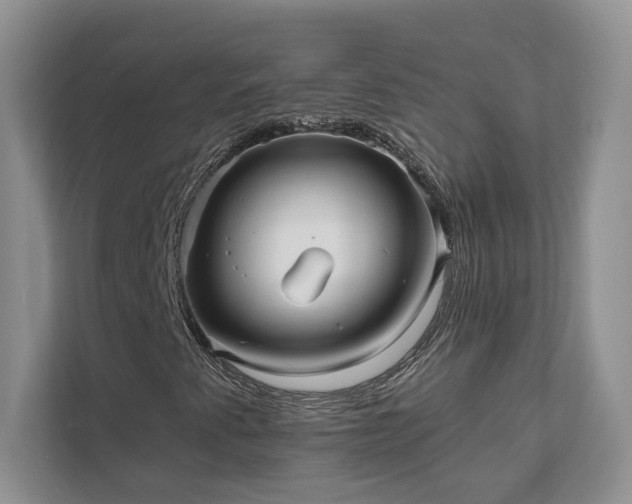 X0000111511345200907211155