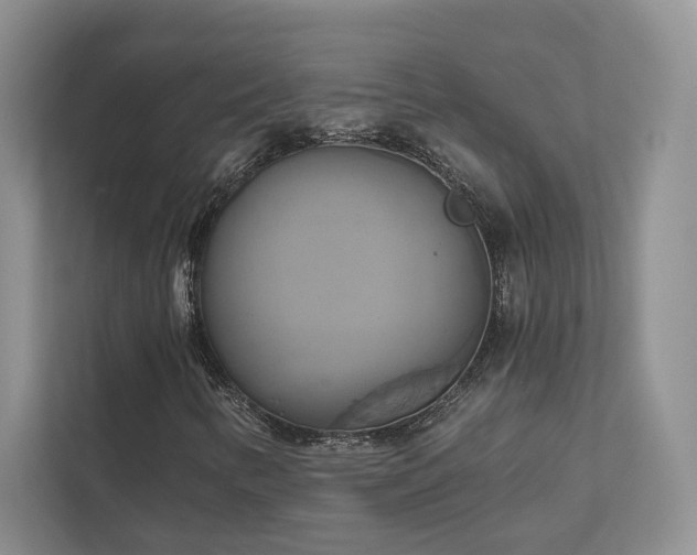 X0000111511346200907211155