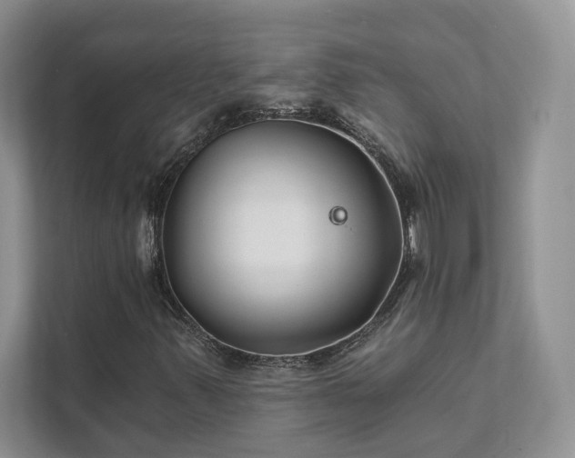 X0000111511347200907211155
