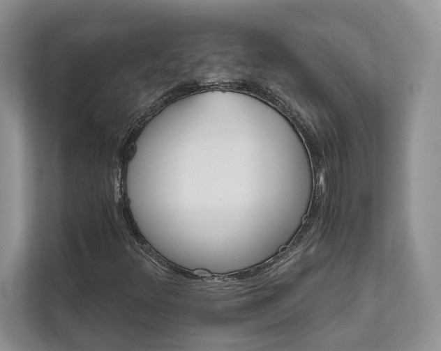 X0000111511348200907211155