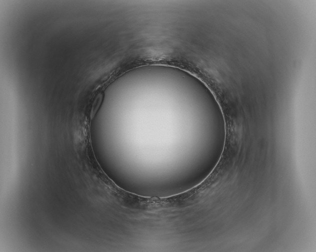 X0000111511349200907211155