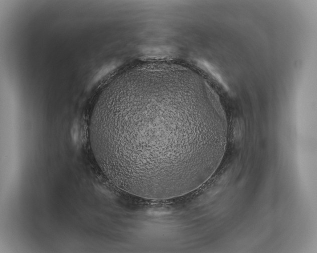 X0000111511350200907211155