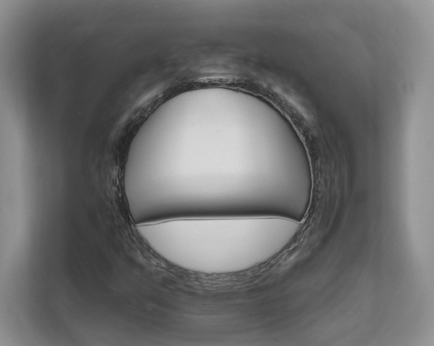 X0000111511351200907211155