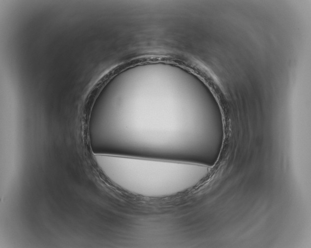 X0000111511352200907211155