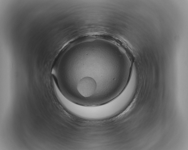 X0000111511353200907211155