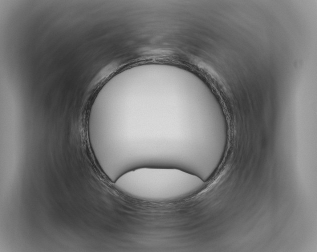 X0000111511354200907211155