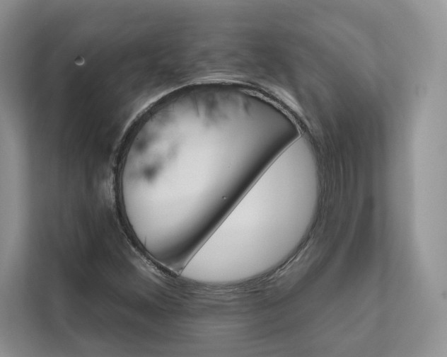 X0000111511356200907211154