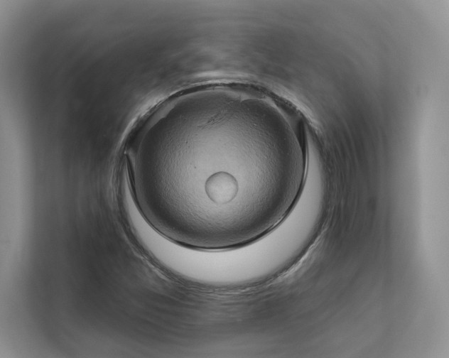 X0000111511357200907211154
