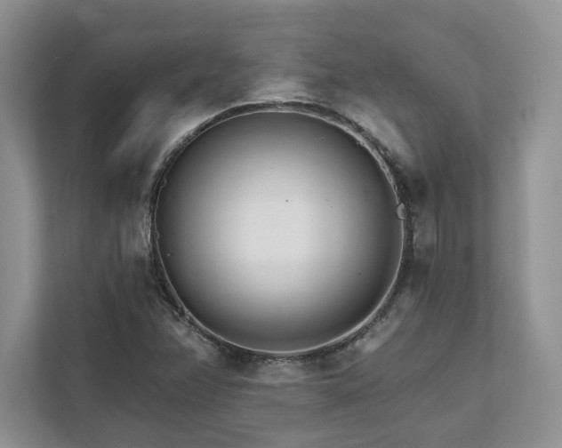 X0000111511358200907211154