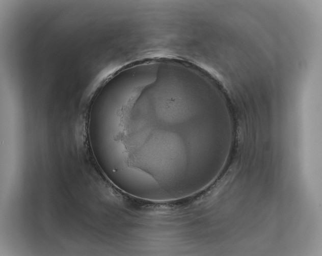 X0000111511359200907211154