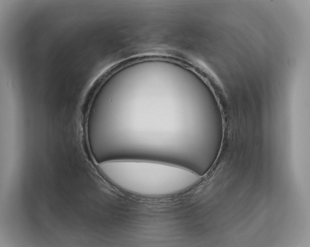 X0000111511360200907211154