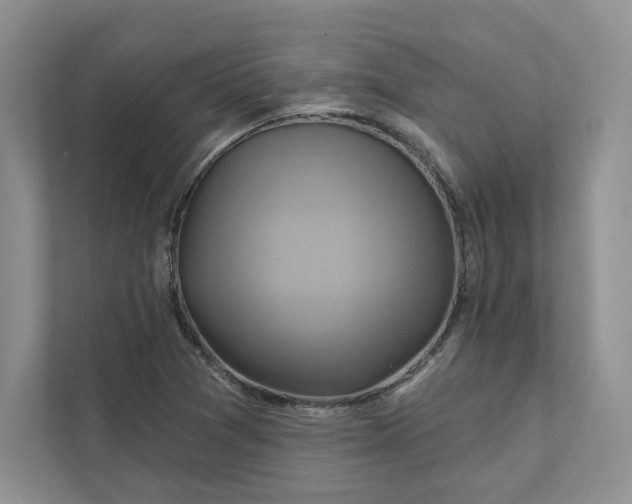 X0000111511361200907211154